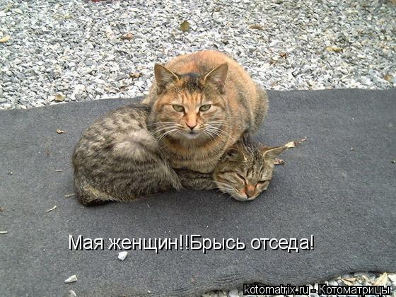 Мая женщин!!Брысь отседа!... Котоматрица: Мая женщин!!Брысь отседа!