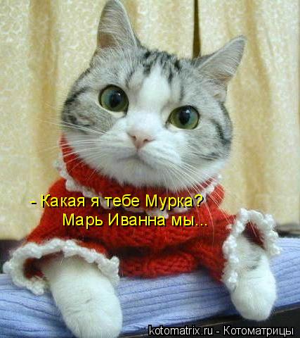 - Какая я тебе Мурка? Марь Иванна мы...... Котоматрица: - Какая я тебе Мурка? Марь Иванна мы...