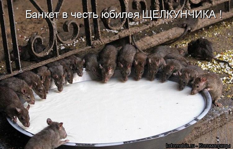 Котоматрица: Банкет в честь юбилея ЩЕЛКУНЧИКА !