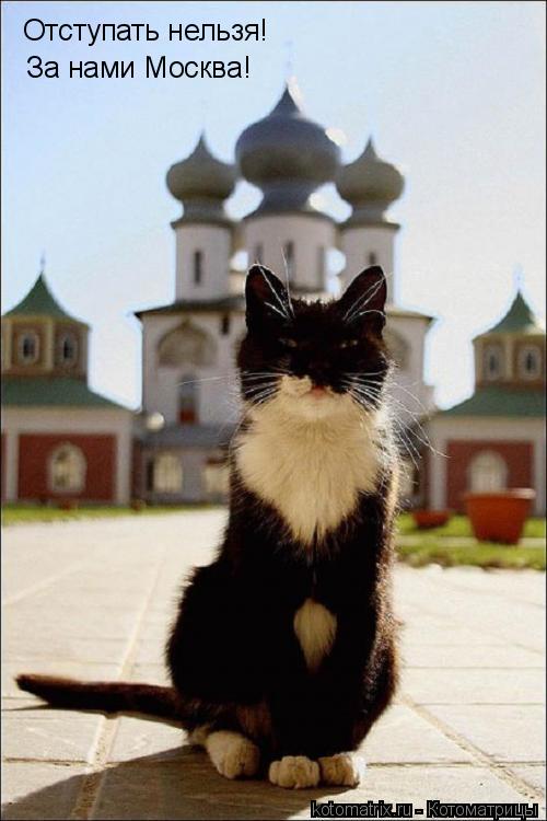 Отступать нельзя! За нами Москва!... Котоматрица: Отступать нельзя! За нами Москва!