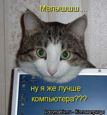 Малышшш.... ну я же лучше компьютера???... Котоматрица: Малышшш.... ну я же лучше компьютера???