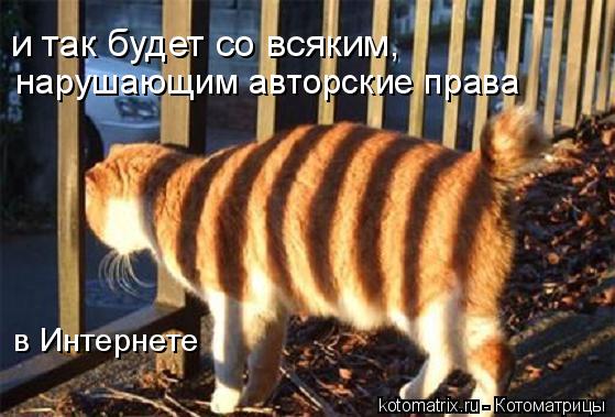 и так будет со всяким, нарушающим авторские права в Интернете... Котоматрица: и так будет со всяким, нарушающим авторские права в Интернете