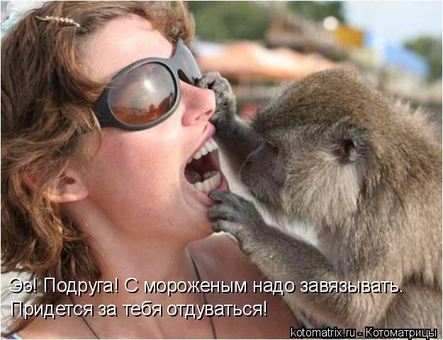 Ээ! Подруга! С мороженым надо завязывать. Придется за тебя отдуваться!... Котоматрица: Ээ! Подруга! С мороженым надо завязывать. Придется за тебя отдуваться!