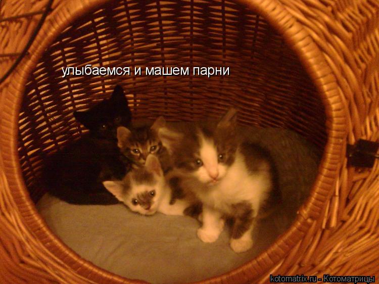 улыбаемся и машем парни... Котоматрица: улыбаемся и машем парни