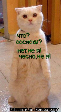 что? сосиски? нет,не я! чесно,не я!... Котоматрица: что? сосиски? нет,не я! чесно,не я!
