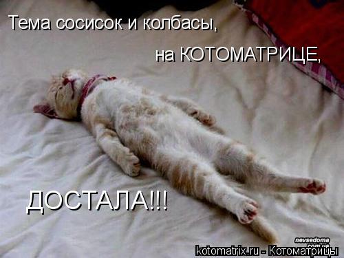 Котоматрица: Тема сосисок и колбасы, на КОТОМАТРИЦЕ, ДОСТАЛА!!!