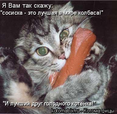 Котоматрица: Я Вам так скажу: "сосиска - это лучшая в мире колбаса!" "И лучший друг голодного котёнка!"