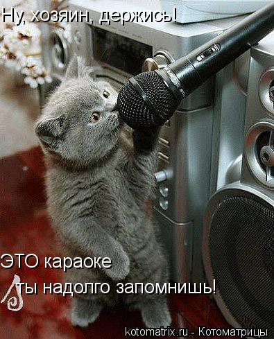 Ну, хозяин, держись! ЭТО караоке ты надолго запомнишь!... Котоматрица: Ну, хозяин, держись! ЭТО караоке ты надолго запомнишь!