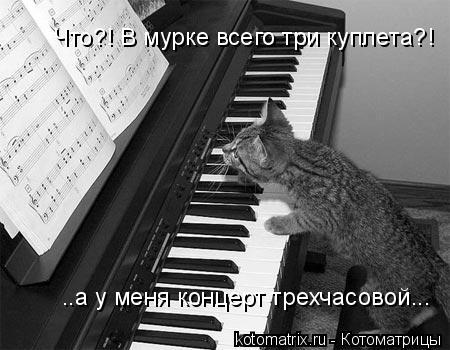 Что?! В мурке всего три куплета?! ..а у меня концерт трехчасовой...... Котоматрица: Что?! В мурке всего три куплета?! ..а у меня концерт трехчасовой...