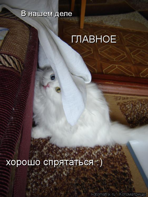 В нашем деле ГЛАВНОЕ хорошо спрятаться :)... Котоматрица: В нашем деле ГЛАВНОЕ хорошо спрятаться :)
