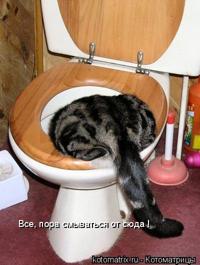 Котоматрица: Все, пора смываться от сюда !