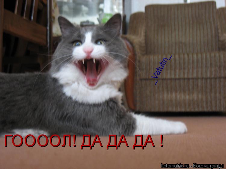 ГООООЛ! ДА ДА ДА ! _Vatutin_... Котоматрица: ГООООЛ! ДА ДА ДА ! _Vatutin_