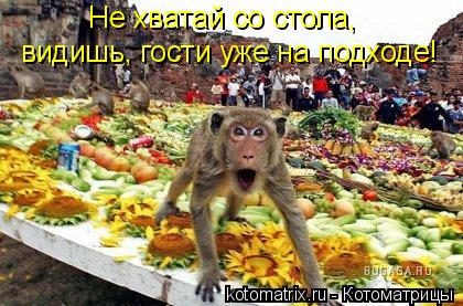 Не хватай со стола, видишь, гости уже на подходе!... Котоматрица: Не хватай со стола, видишь, гости уже на подходе!