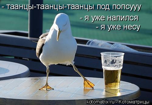 - я уже напился - я уже несу - таанцы-таанцы-таанцы под попсууу... Котоматрица: - я уже напился - я уже несу - таанцы-таанцы-таанцы под попсууу