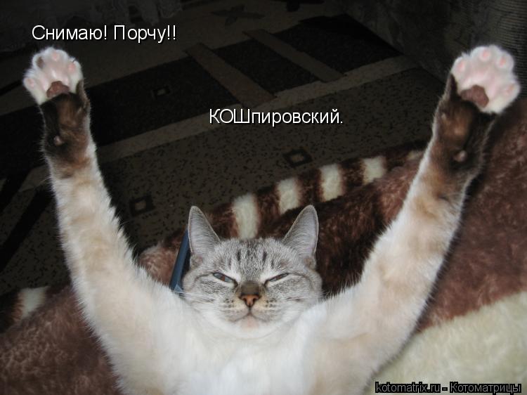 Снимаю! Порчу!! КОШпировский.... Котоматрица: Снимаю! Порчу!! КОШпировский.