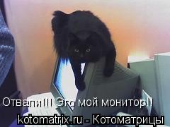 Отвали!!! Это мой монитор!!... Котоматрица: Отвали!!! Это мой монитор!!