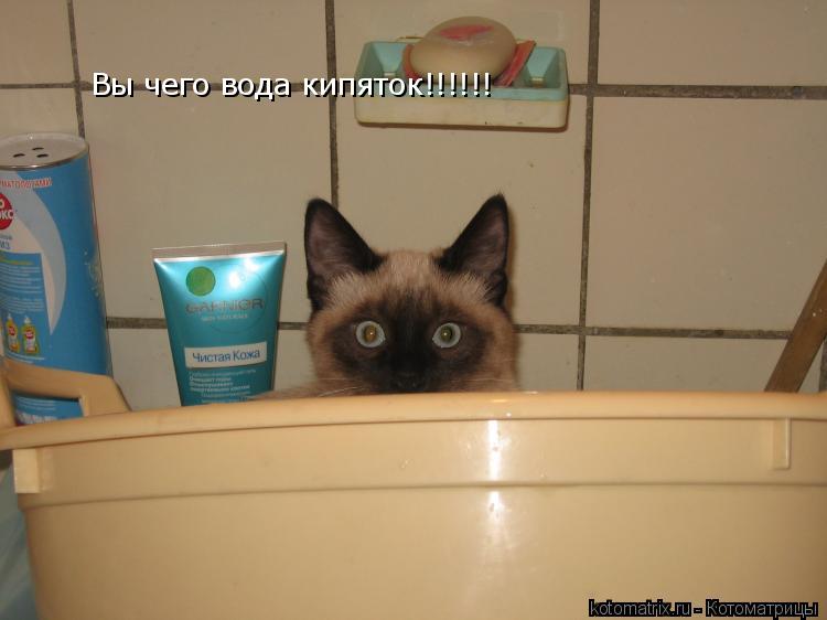 Вы чего вода кипяток!!!!!!... Котоматрица: Вы чего вода кипяток!!!!!!