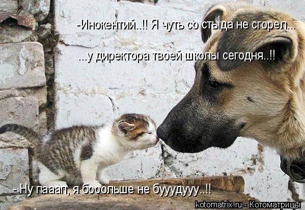 -Инокентий..!! Я чуть со стыда не сгорел... ...у директора твоей школы сегодня..!! - Ну пааап, я бооо... Котоматрица: -Инокентий..!! Я чуть со стыда не сгорел... ...у директора твоей школы сегодня..!! - Ну пааап, я бооольше не бууудууу..!!