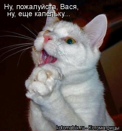 Ну, пожалуйста, Вася, ну, еще капельку...... Котоматрица: Ну, пожалуйста, Вася, ну, еще капельку...
