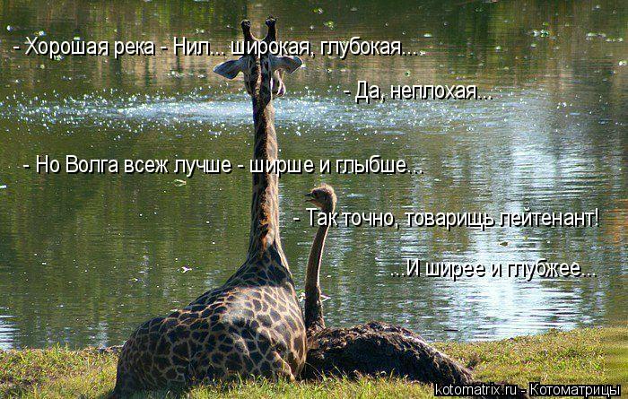- Хорошая река - Нил... широкая, глубокая... - Да, неплохая... - Но Волга всеж лучше - ширше и глыбше... Котоматрица: - Хорошая река - Нил... широкая, глубокая... - Да, неплохая... - Но Волга всеж лучше - ширше и глыбше... - Так точно, товарищь лейтенант! ...И ширее