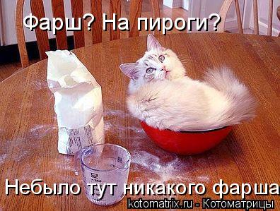Фарш? На пироги? Небыло тут никакого фарша...... Котоматрица: Фарш? На пироги? Небыло тут никакого фарша...