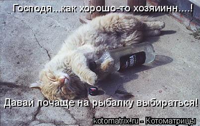 Давай почаще на рыбалку выбираться! Господя...как хорошо-то хозяиинн....!... Котоматрица: Давай почаще на рыбалку выбираться! Господя...как хорошо-то хозяиинн....!