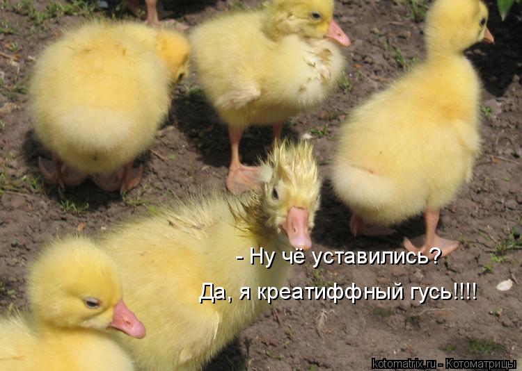 Музыка вышла курочка гулять скачать