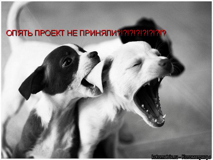 ОПЯТЬ ПРОЕКТ НЕ ПРИНЯЛИ?!?!?!?!?!?!?!?... Котоматрица: ОПЯТЬ ПРОЕКТ НЕ ПРИНЯЛИ?!?!?!?!?!?!?!?