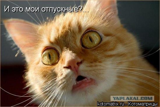 И это мои отпускные?...... Котоматрица: И это мои отпускные?...