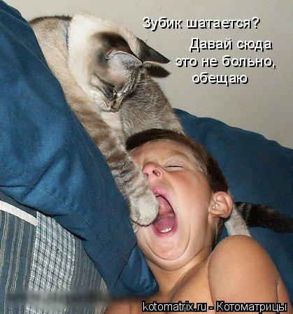 Зубик шатается? Давай сюда это не больно, обещаю... Котоматрица: Зубик шатается? Давай сюда это не больно, обещаю