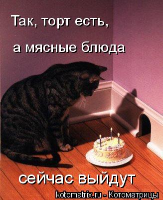 Так, торт есть, а мясные блюда сейчас выйдут... Котоматрица: Так, торт есть, а мясные блюда сейчас выйдут