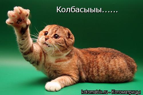 Колбасыыы......... Котоматрица: Колбасыыы......