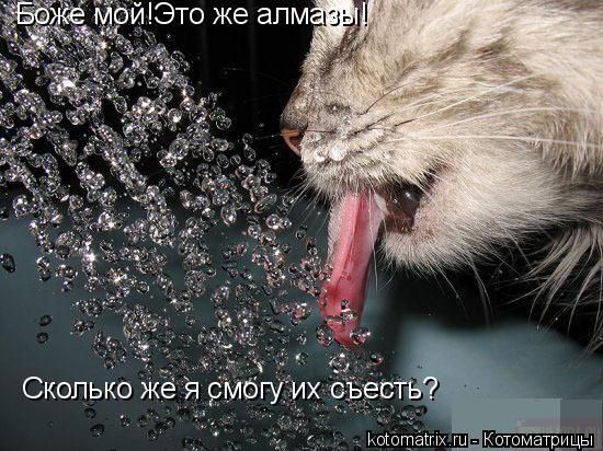 Боже мой!Это же алмазы! Сколько же я смогу их съесть?... Котоматрица: Боже мой!Это же алмазы! Сколько же я смогу их съесть?