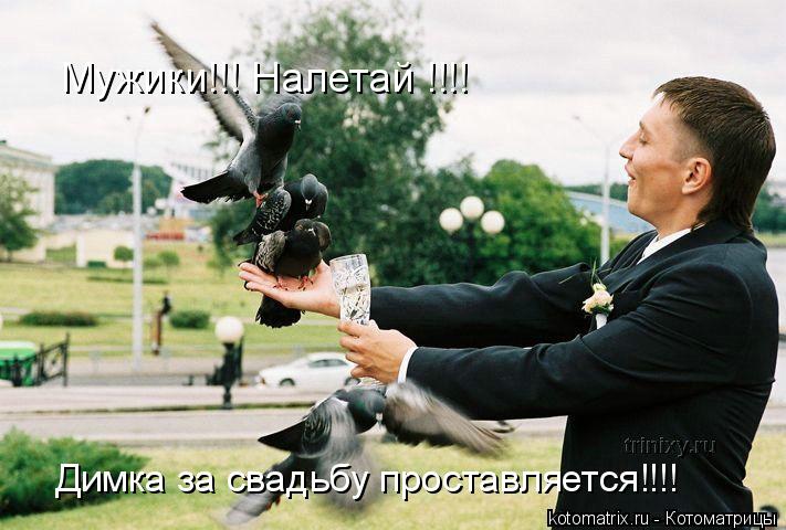 Мужики!!! Налетай !!!! Димка за свадьбу проставляется!!!!... Котоматрица: Мужики!!! Налетай !!!! Димка за свадьбу проставляется!!!!