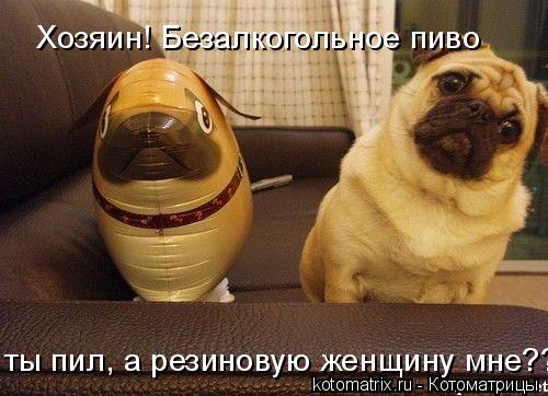 Хозяин! Безалкогольное пиво ты пил, а резиновую женщину мне???... Котоматрица: Хозяин! Безалкогольное пиво ты пил, а резиновую женщину мне???