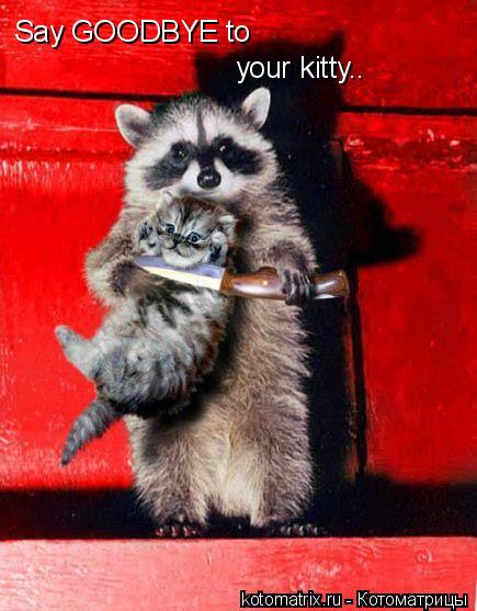 Котоматрица: your kitty.. Say GOODBYE to