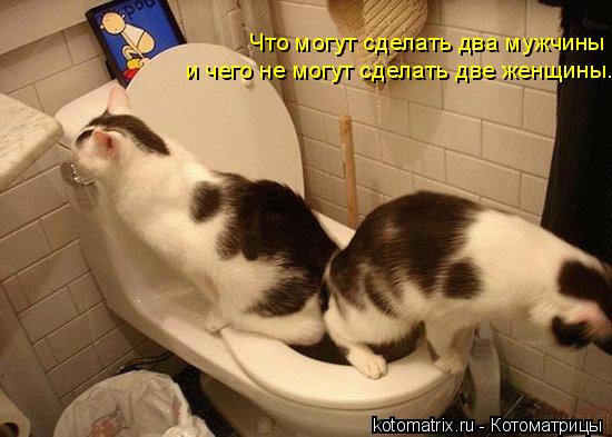 Что могут сделать два мужчины и чего не могут сделать две женщины...... Котоматрица: Что могут сделать два мужчины и чего не могут сделать две женщины...