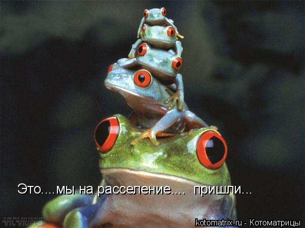 Это....мы на расселение.... пришли...... Котоматрица: Это....мы на расселение.... пришли...