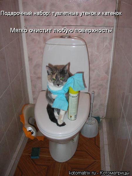Подарочный набор: туалетные утенок и катенок Мягко очистит любую поверхность!... Котоматрица: Подарочный набор: туалетные утенок и катенок Мягко очистит любую поверхность!