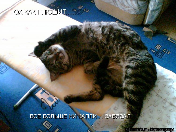 ОХ КАК ПЛЮЩИТ...... ВСЕ БОЛЬШЕ НИ КАПЛИ.... ЗАВЯЗАЛ... Котоматрица: ОХ КАК ПЛЮЩИТ...... ВСЕ БОЛЬШЕ НИ КАПЛИ.... ЗАВЯЗАЛ