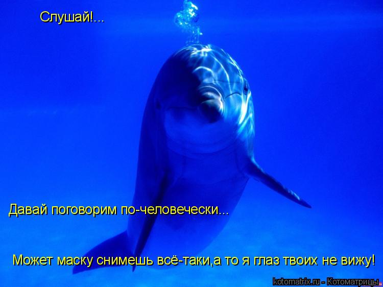 Слушай!... Давай поговорим по-человечески... Может маску снимешь всё-таки,а то я глаз твоих не вижу!... Котоматрица: Слушай!... Давай поговорим по-человечески... Может маску снимешь всё-таки,а то я глаз твоих не вижу!
