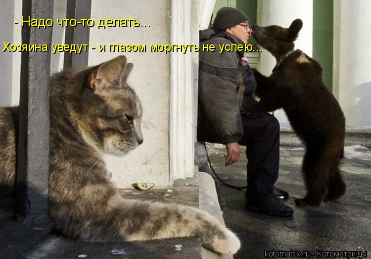 - Надо что-то делать... Хозяина уведут - и глазом моргнуть не успею...... Котоматрица: - Надо что-то делать... Хозяина уведут - и глазом моргнуть не успею...