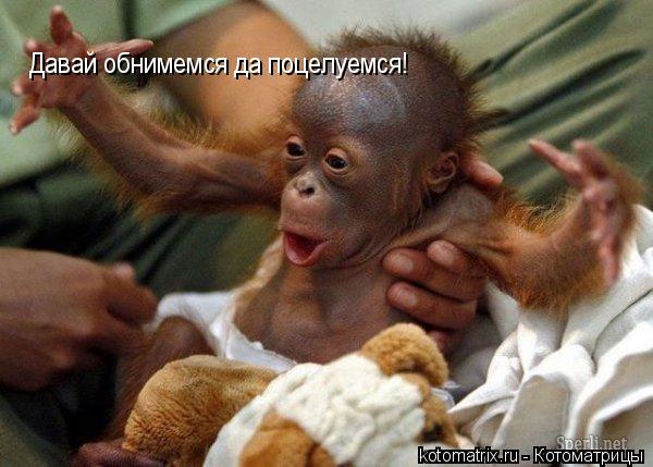 Котоматрица: Давай обнимемся да поцелуемся!