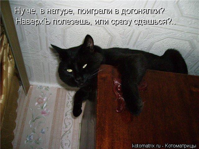 Ну че, в натуре, поиграли в догонялки? НаверхЪ полезешь, или сразу сдашься?..... Котоматрица: Ну че, в натуре, поиграли в догонялки? НаверхЪ полезешь, или сразу сдашься?..