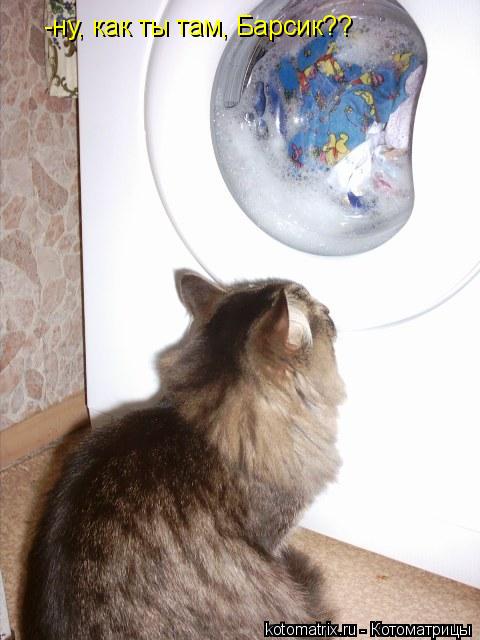 -ну, как ты там, Барсик??... Котоматрица: -ну, как ты там, Барсик??