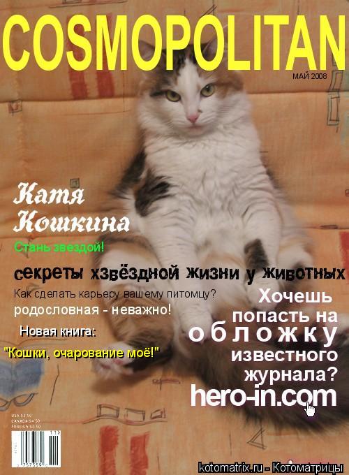 Котоматрица: Новая книга: "Кошки, очарование моё!"