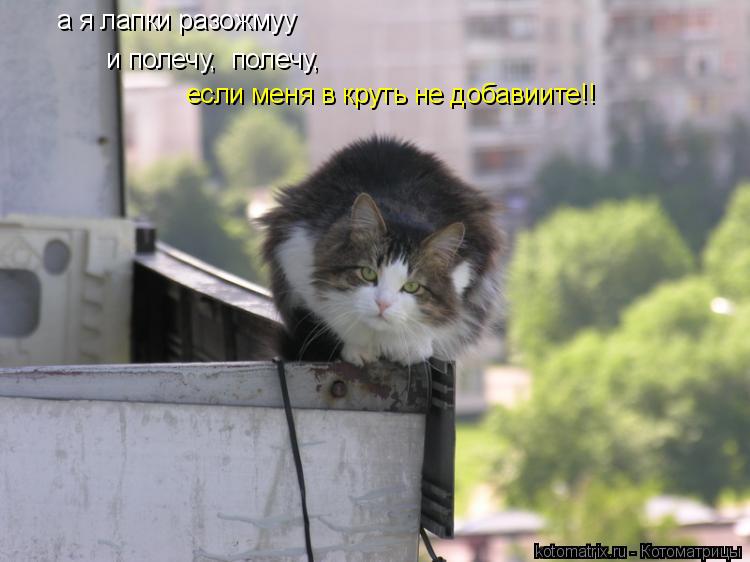 а я лапки разожмуу и полечу, полечу, если меня в круть не добавиите!!... Котоматрица: а я лапки разожмуу и полечу, полечу, если меня в круть не добавиите!!