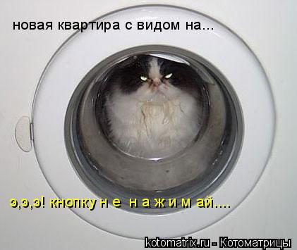 новая квартира с видом на... э,э,э! кнопку н е н а ж и м ай....... Котоматрица: новая квартира с видом на... э,э,э! кнопку н е н а ж и м ай....