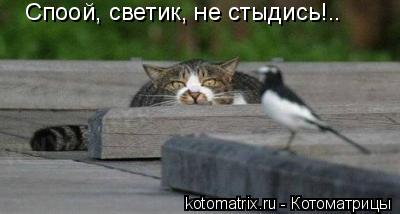Споой, светик, не стыдись!..... Котоматрица: Споой, светик, не стыдись!..