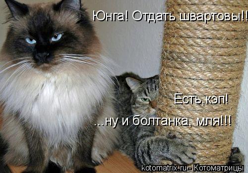 Юнга! Отдать швартовы!!! Есть,кэп! ...ну и болтанка, мля!!!... Котоматрица: Юнга! Отдать швартовы!!! Есть,кэп! ...ну и болтанка, мля!!!